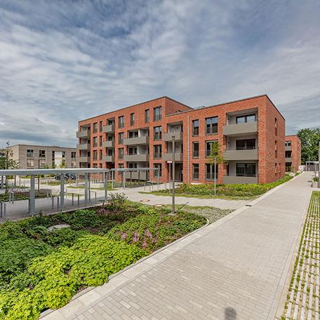 Gebaeudereihen des Wohnquatier York in Muenster mit Gehwegen und angelegten Beeten im Fokus