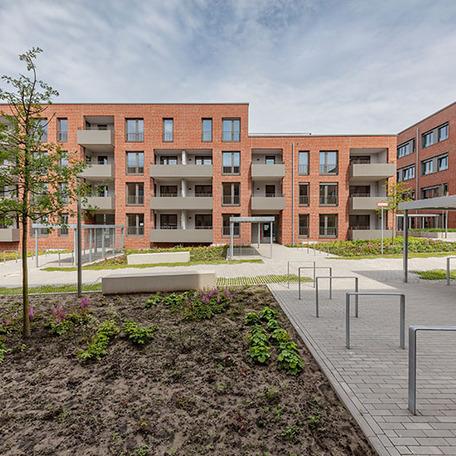 Gebaeudereihen des Wohnquatier York in Muenster mit Klinkerfassade, Balkonen, Eingaengen und Fahrradstaendern und angelegten Beeten im Fokus